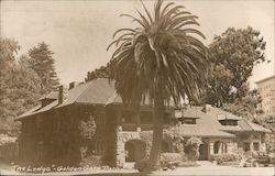 "The Lodge", Golden Gate Park San Francisco, CA Postcard Postcard Postcard