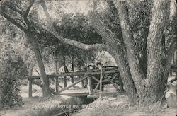 Oak Arbor Boyes Hot Springs, CA Postcard Postcard Postcard