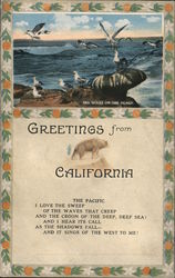 Greetings from California Postcard