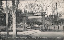 Calistoga Hot Springs California Postcard Postcard Postcard