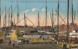 Hay and Lumber Schooners, Water Front Postcard