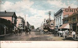 Unviersity Avenue Postcard