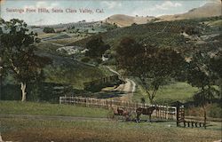 Saratoga Foot Hills Postcard