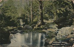 Mountain Scene Postcard