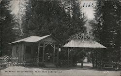 Entrance to Guerneville Park Postcard