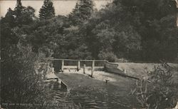 The Dam in Russian River Postcard