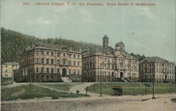 Affiliated Colleges, U.C., San Francisco, Sutro Forest in Background Postcard