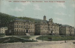 Affiliated Colleges, U.S. Sutro Forest in background Postcard