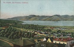 The Presidio San Francisco, CA Postcard Postcard Postcard