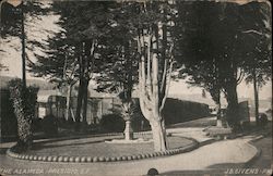 The Alameda, Presidio Postcard