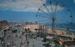 Santa Cruz Beach California Postcard Postcard Postcard