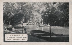 Stacey's on the San Lorenzo River Postcard