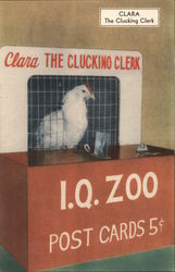 I.Q. Zoo - Clara the Clucking Clerk Postcard