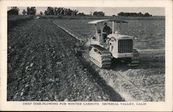 Caterpillar Tractor, Deep Disk Plowing for Winter Carrots Imperial Valley, CA Advertising Postcard Postcard Postcard