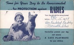 Time for your dog to be revaccinated for protection against rabies. Child with puppies Postcard