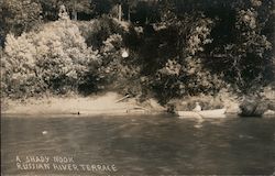 A Shady Nook Russian River Terrace Postcard