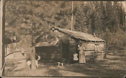 A woman and child standing outside their cabin with two dogs Postcard