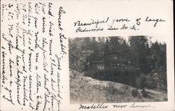 Cabin in Woods - "Beautiful Grove of Large Redwood in Back" Postcard