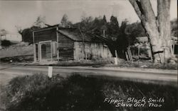 Fippin Blacksmith Slave Girl Tree Postcard