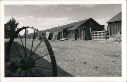 The Chicken House Project - Petaluma Historical Museum Postcard