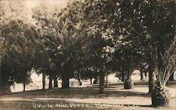 View in Hill Plaza Postcard