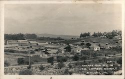 Chicken Ranches in the Cinnabar District Postcard