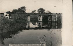 Upper Trestle Petaluma, CA Postcard Postcard Postcard