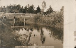 Upper Bridge Postcard