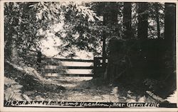 Shady Nook, Camp Vacation, near Guerneville, CA Postcard Postcard Postcard