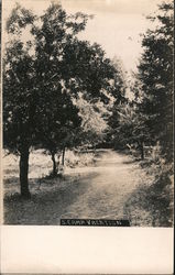 Road Through Trees - Camp Vacation California Postcard Postcard Postcard