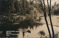 Summer Home Park Hilton, CA Postcard Postcard Postcard