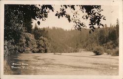 Brown's Grove, Russian River Postcard