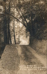 Auto Road to Summer Home Park Hilton, CA Postcard Postcard Postcard