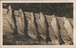 Beauties from headwaters Middle Fork near June Lodge San Joaquin, CA Postcard Postcard Postcard