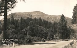 On Mt. St. Helena Calistoga, CA Postcard Postcard Postcard