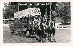 Pulling the Starting Gate - Sonoma County Fair Postcard