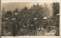 View of Guernewood Heights Guerneville, CA Postcard Postcard Postcard