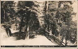 Eagle Nest near Postcard