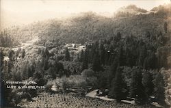 Scenic View Guerneville, CA Postcard Postcard Postcard