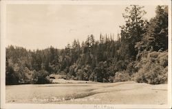 Brown's Beach on the Russian River Postcard