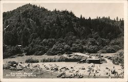 Sunbathers and Canoers at Rolands Beach on the Russian River California Postcard Postcard Postcard