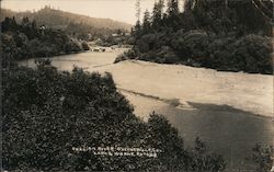 View of Russian River Guerneville, CA Postcard Postcard Postcard