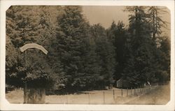 Riverside Resort Guerneville, CA Postcard Postcard Postcard