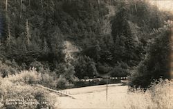 River View Guerneville, CA Postcard Postcard Postcard