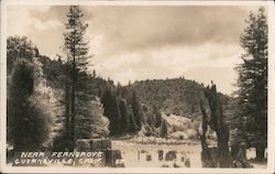 Near Ferngrove Guerneville, CA Postcard Postcard Postcard