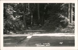 Forest Theatre, Armstrong Grove Postcard