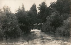 Neely's Park Guerneville, CA Postcard Postcard Postcard