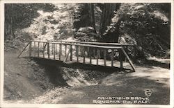 Small Bridge in Armstrong Grove in Sonoma Co., Calif. Postcard