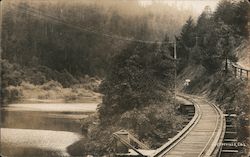 Train Tracks By a River Guerneville, CA Postcard Postcard Postcard