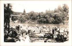 People Gathered on Russian River Guerneville, CA Hasek Photo Postcard Postcard Postcard